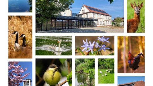 Cérémonie des Vœux 2026