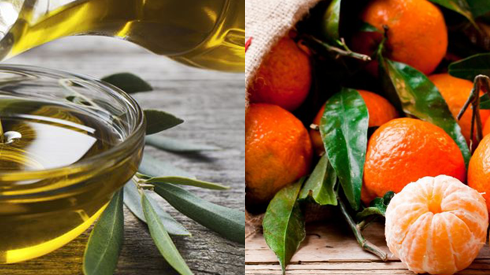 Vente d'huile d'olives et agrumes